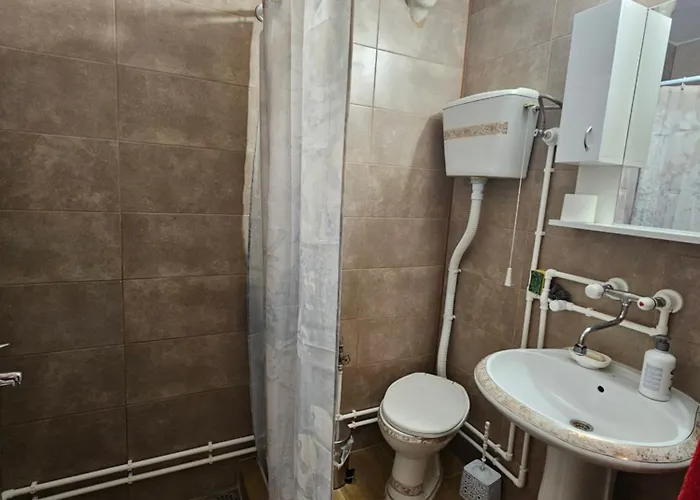 Διαμέρισμα Puric *